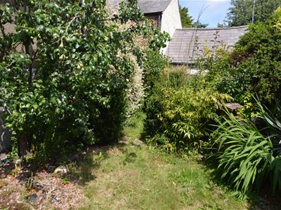 Picture 14